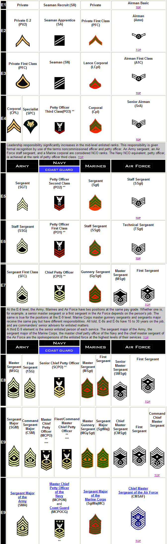 Air National Guard Ranks Structure