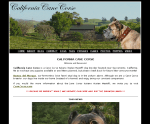 Cane Corso Italian Mastiff Rescue