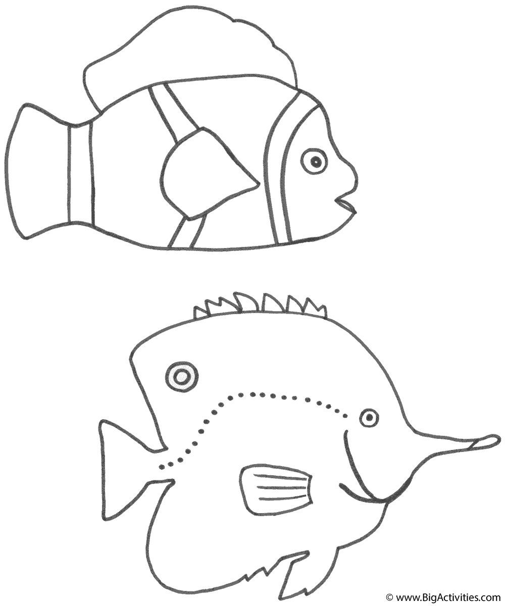 Colouring Fish Pictures For Kids