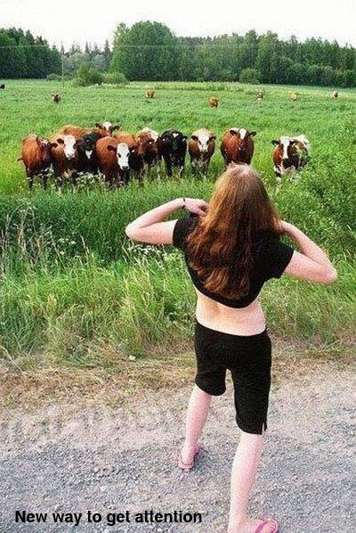 Funny Pictures Of People And Animals