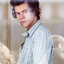 Harry Styles Imagines Dirty Gifs