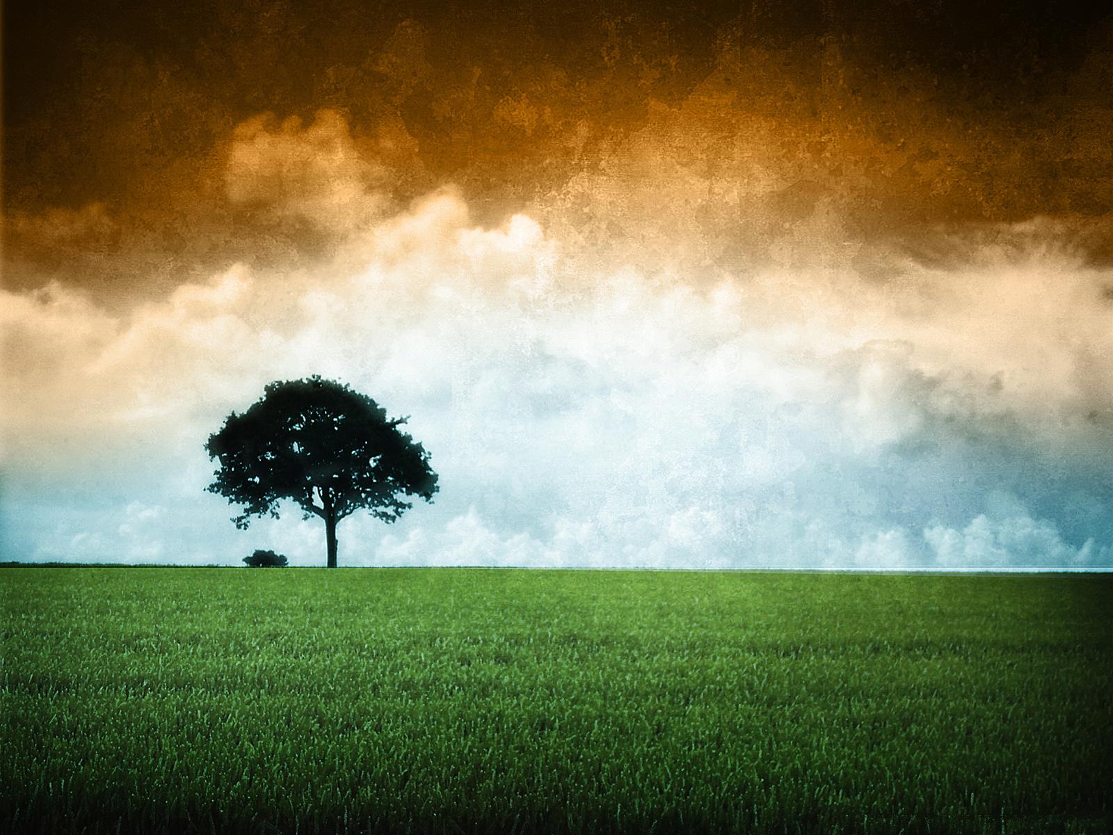 Indian National Flag Wallpaper For Mobile