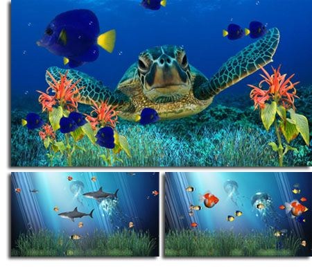 Moving Fish Tank Wallpaper Free Download