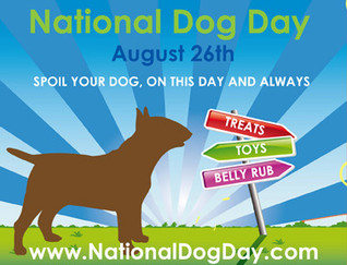 National Dog Day Pics