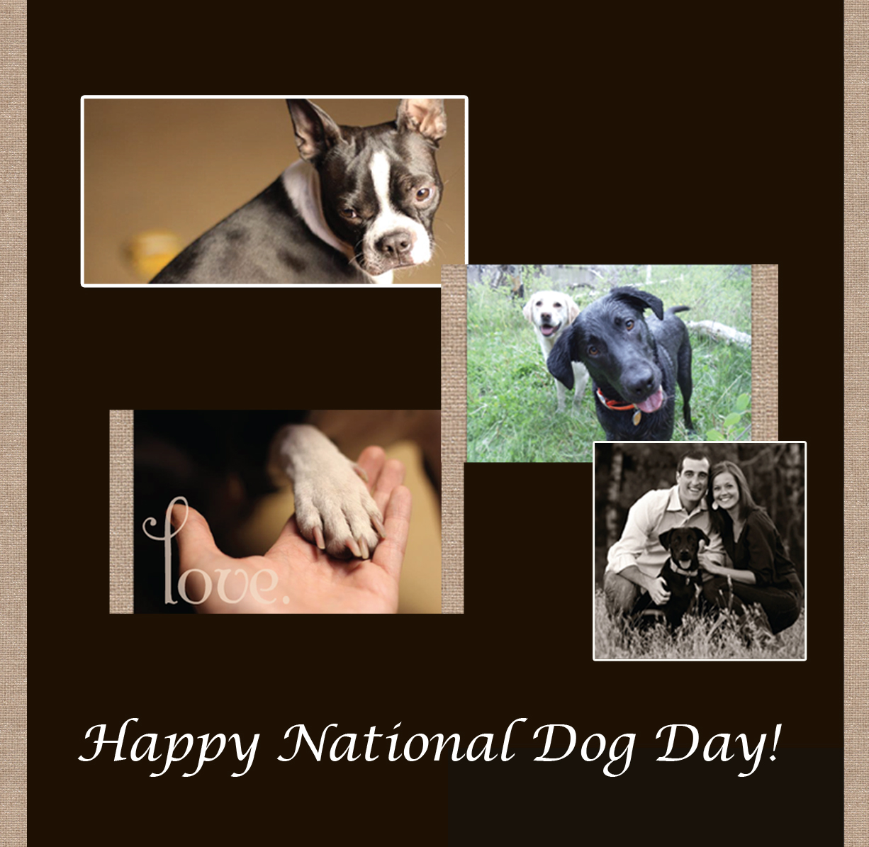 National Dog Day Pictures