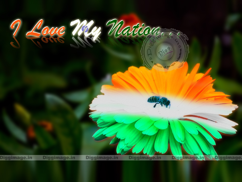 National Flag Images Of India