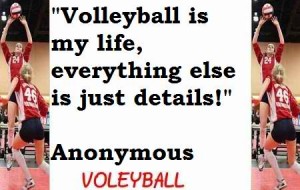 Sports Quotes Volleyball